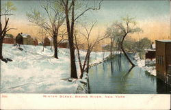 Winter Scene, Bronx RIver Postcard