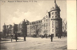 Museum of Natural History Postcard