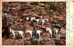 On the zig zags, Bright Angel Trail Postcard