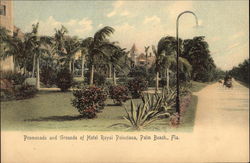 Promenade and Grounds of Hotel Royal Poinciana Palm Beach, FL Postcard Postcard