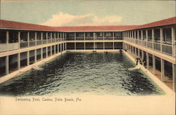 Swimming Pool, Casino Palm Beach, FL Postcard Postcard