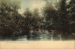 A Florida Spring DeLand, FL Postcard Postcard