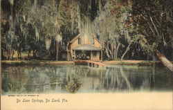 De Leon Springs DeLand, FL Postcard Postcard