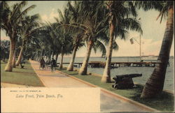 Lake Front Palm Beach, FL Postcard Postcard