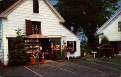 The Christmas Tree Gift Shop Postcard