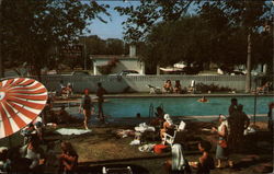 Casa de Palmas Hotel - Swimming Pool McAllen, TX Postcard Postcard