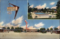 Edisto Motel Postcard