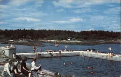 Sebasco Lodge and Cottages - Swimming Pool Postcard