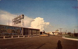 Cactus Motel Postcard