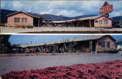 The Beautiful Shamrock Motel Postcard