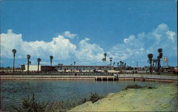 Port Charlotte Motel on Tamiami Trail Postcard