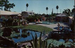 Royal Poinciana Motel Tampa, FL Postcard Postcard