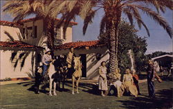 Ambassador Hotel Palm Springs, CA Postcard Postcard