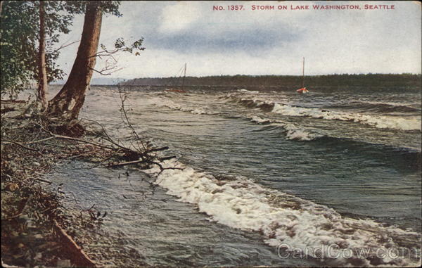 Storm on Lake Washington Seattle
