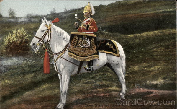Drum Horse, 1st King's Dragon Military