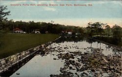 Gwynn's Falls Run, showing Gwynn Oak Park Baltimore, MD Postcard Postcard