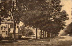 Indiana Avenue, Looking North Postcard