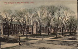 Yale Campus in 1861 Postcard