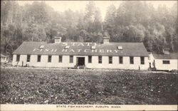 State Fish Hatchery Postcard