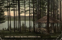Friends Lake, Through the Pines Chestertown, NY Postcard Postcard