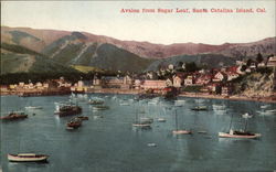 Avalon from Sugar Loaf Postcard