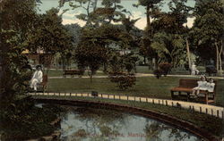 Botanical Gardens Postcard