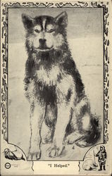 "I Helped" Dogs Postcard Postcard