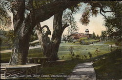 The Live Oaks, Busch Garden Postcard