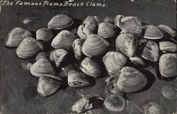The Famous Pizmo Beach Clams Postcard