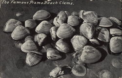 The Famous Pizmo Beach Clams Pismo Beach, CA Postcard Postcard