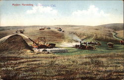 Modern Harvesting Postcard