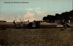 Reaping and Binding Kentucky Postcard Postcard