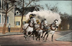 Stock #297311 Thumbnail