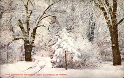 Floor of Yosemite Valley, California, in Winter Postcard