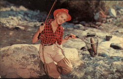 Stock #297442 Thumbnail