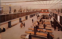 Streamlined Customs Facilities New York International Airport Postcard
