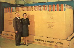 Made by Steve's Cheese Postcard