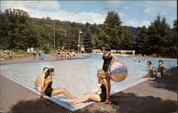 Henryville Lodge and Cabanas Pennsylvania Postcard Postcard