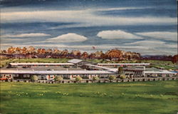 Meadowbrook Motor Inn Postcard