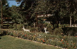 Allen "A" Resort - Lake Wentworth Wolfeboro, NH Postcard Postcard