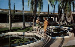 Palm Garden Restaurant Postcard