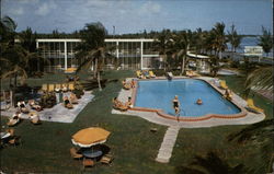 The Key Amnassador Key West, FL Postcard Postcard