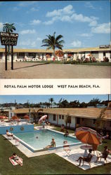 Royal Palm Motor Lodge Postcard