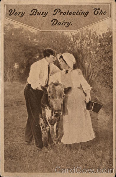 Very Busy Protecting the Dairy Romance & Love