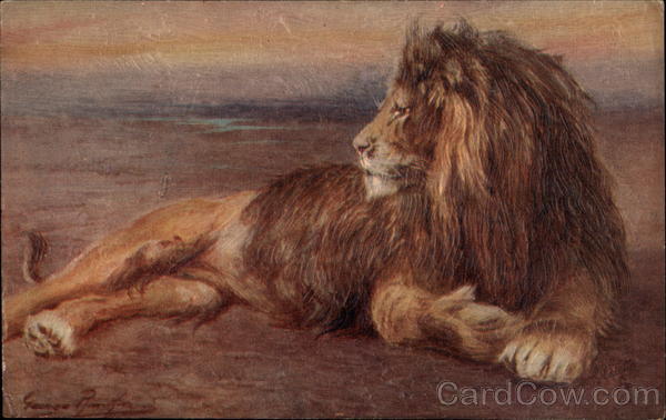 Lion Tuck's Oilette Series