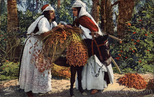 Women Loading Dates onto a Donkey