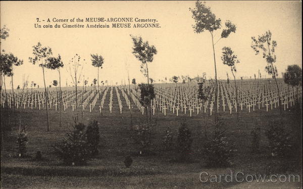 A Corner of the Meuse-Argonne American Cemetery World War I
