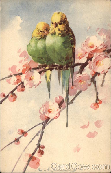 Two Budgies on a Branch With Pink Flowers C. Klein