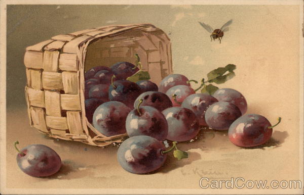 Still LIfe - Basket of Plums C. Klein