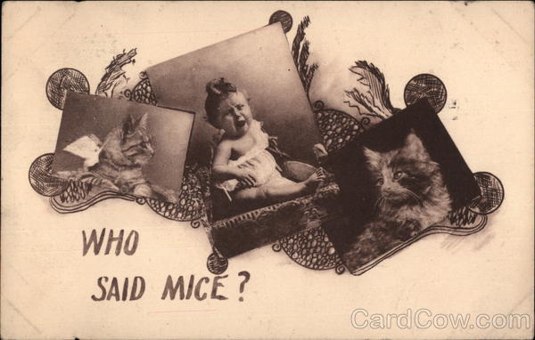 Who Said Mice? Cats